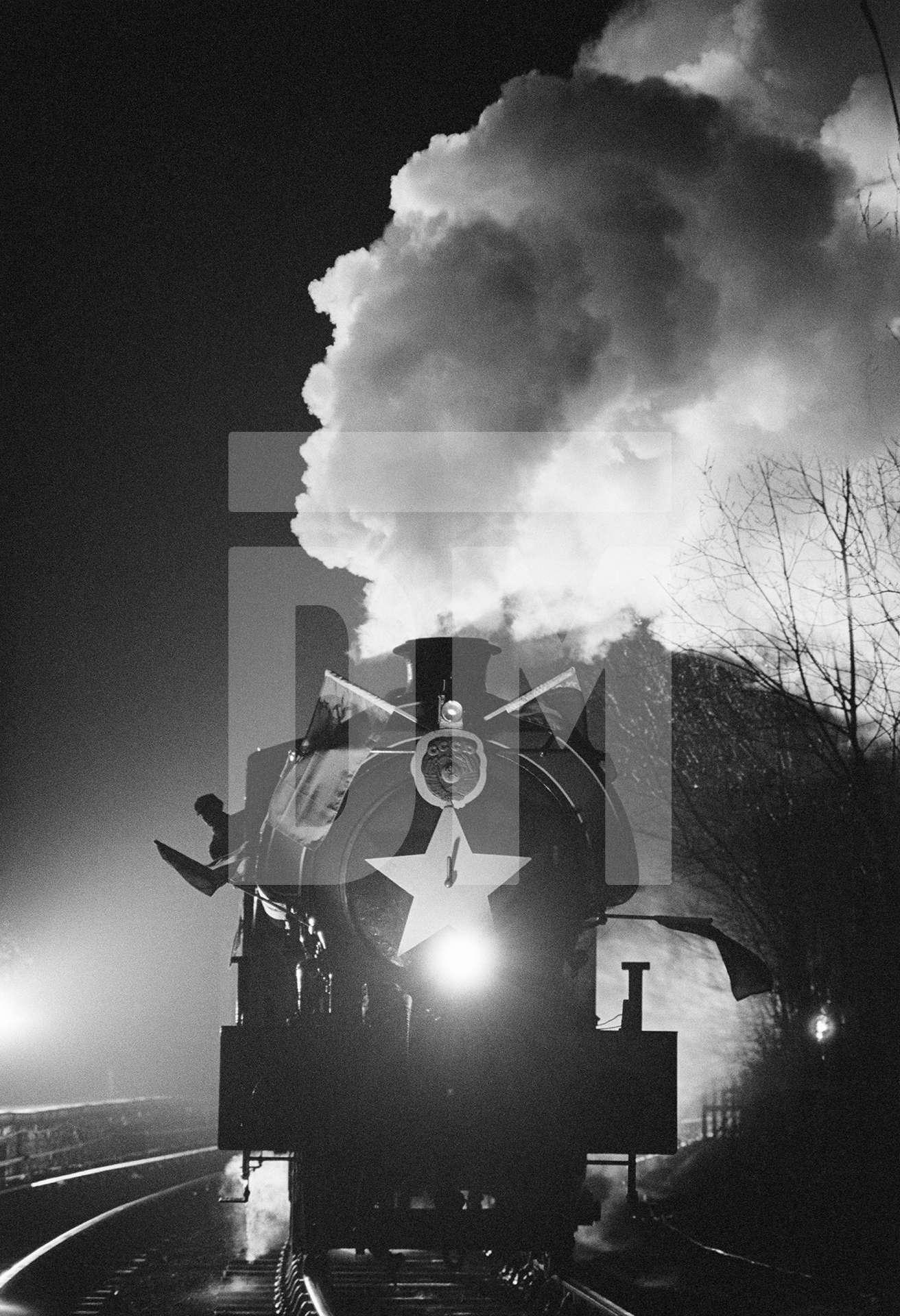 Location: Lakeside and Haverthwaite Railway, Windermere. February 1987 by Daniel Meadows